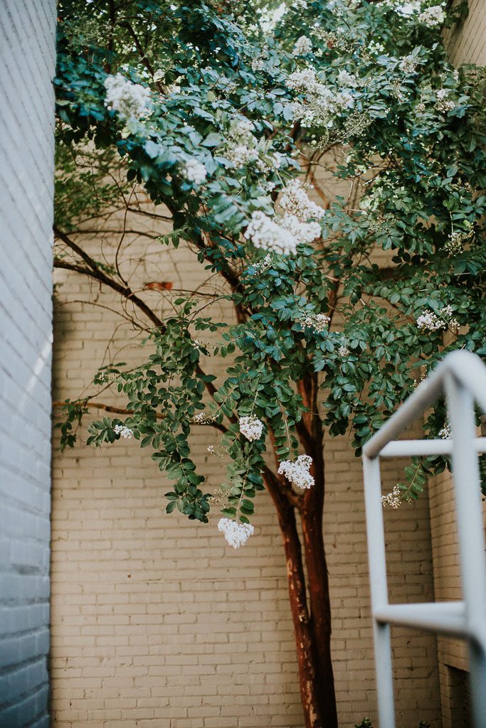 TRẦN LẠC ĐẶC TRỊ TRẺ KHÓC ĐÊM, KHÓC DẠ ĐỀ, SÀI ĐẸN HƠI LẠNH | TRANLAC.COM