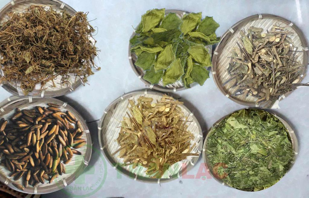 Lá thảo dược từ núi rừng